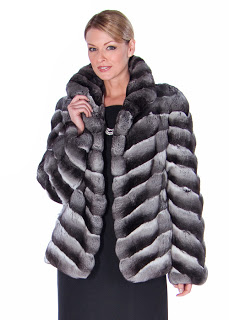 Chinchilla: The Softest Fur Around – Madison Avenue Mall Furs