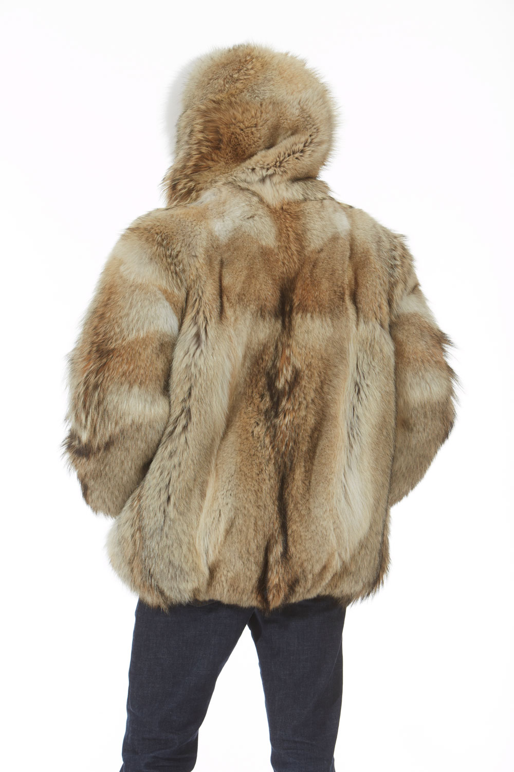 Men's Coyote Fur Jacket White Fox Trim Hood 7778 – MARC KAUFMAN FURS